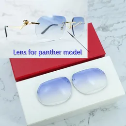 Lente poligonal para estilo Panther 1130 e 1200, lentes de reposição para óculos de sol, lentes coloridas com furo (somente lente)