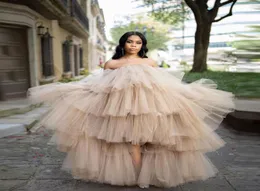 2020 Chic Women Hi Low Tulle Skirts Ruffled Sexy Tulle Dresses Strapless Sheer Puffy Prom Dresses Women Maxi Long Party Dress With4736098