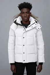 파파 겨울 다운 파파 homme jassen Chaquetas 외부 늑대 늑대 모피 후드 Fourrure Manteau Wyndham Canada 재킷 코트 Doudoune