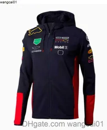 Camisetas masculinas Formula 1 Racing Jersey Verstappen F1 Jacket Autumn e Winter Team Hoodie com a mesma personalização 4123