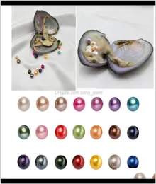 Smycken droppleverans 2021 runt akoya oyster 68mm 28 mix färg stor färskt vatten gåva diy naturlig pärla lösa pärlor dekorationer vac7998568