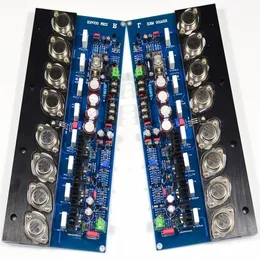 Freeshipping 2pcs KSA100 Złoto zamknięta rurka Audio Board 100WX2 HIFI HiFi stereo klasy A Wzmacniacz AMPT TNPKD