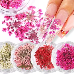 10Pcs 3D Dried Flower Nails Art Decorations Natural Floral Nail Charms Jewelry Set Nail Supplies For Professionals Accessories