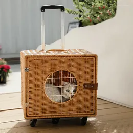 Kattbärare bärbara bärande barnvagn reser transparent resväska husdjur djur 4 hjul utomhus hononen buggy husdjur produkter hund