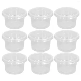 Cups Saucers Behokic 100PCS Disposable Clear Plastic 55ML Portion Sauce Pot Storage With Lid For BBQ Picnic Restaurant Kitchen Organizer
