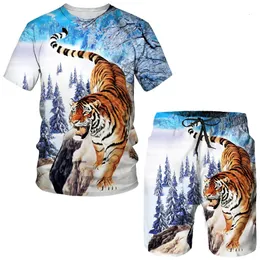 Herrspårar Summer Tiger 3D Printed T-ShirtSShorts Suit Jogging Tracksuit Cool Animal Pattern Par Outfits Two Piece Sportswear Set 230412