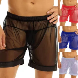 Underpants Men's Sexy Underwear Mesh Breathable Mens Rhinestone Bra And Panties Set Big Bust Lingerie For Women