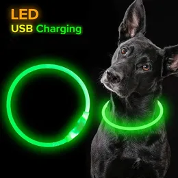 LED Light Dog Collar Lange Löstagbar glödande laddning Lysande koppel för husdjursprodukter USB -laddning Lysande husdjurstillbehör