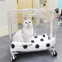 Hund Leichter, transparenter Haustier-Trolley, professionelle Beauty-Box mit Rollen und erweiterbarem Zubehör 231110