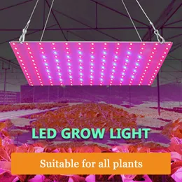 Grow Lights LED Grow Light 1000W 1500W Indoor Phytolampy 220V Lampada per semi di piante Pannello LED a spettro completo 110V Serra Fito Hydroponics Bulb P230413