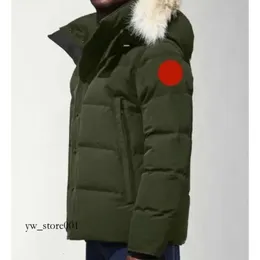 Kanada Puffer Ceketler Erkekler Tasarımcı Gerçek Coyote Kürk Açık Wyndham Windbreaker Jassen Dış Giyim Kapşonlu Fourrure Manteau Aşağı Ceket Ceket 235
