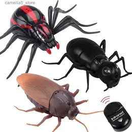 Electric/RC Animals Novelty Infrared Remote Control Simulation Animal Smart RC Cockroach Spider Ant Brank Brank Bankes Radio Ensect Toys Gift Q231114
