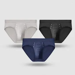 Underpants Chic Men Briefs Small Holes Intimate Male Casual Plus Size