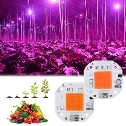 Grow Lights LED GROW Light Full Spectrum Cob LED CHIP 110V 220V 20W 30W 50W Svetsning Gratis Phyto -lampa för växter inomhusplantor Blomma Tält P230413