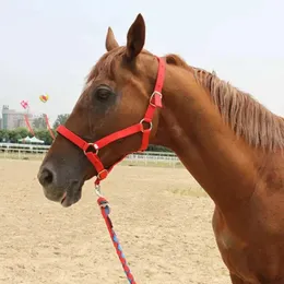 محاصيل سوط مزدوجة الخطاف الرصاص الحصان HALTER HALTER REINS TETHER TETHER FEROVERAN