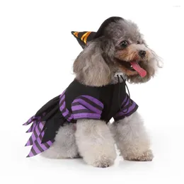 Köpek giyim kostüm köpek cadı giysileri (karışık renk) için kedi yavru kedi dekorasyonu