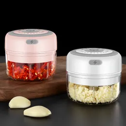 Portable Wireless Electric Garlic Grinder Mini Food Processor 100ML/250ML Garlic Chopper Multifunctional Meat Chili Kitchen Mixer