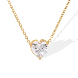 Colliers pendents Classic Cœur coeur brillant zircon de haute qualité de haute qualité étanche collier en acier inoxydable