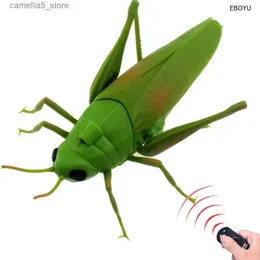 Electric/RC Animals eboyu