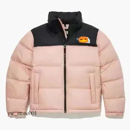 nf0a3c8d mens down jackets 코트 코트 디자이너 복자 재킷 피크 퍼플 레드 바이올렛 유니렉스 긴 소매 후드 700 채우기 수용 가능한 후드 17