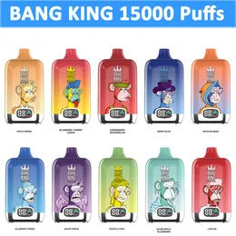 Original Bang King 15000 Puffs 15K Vape Disponible Vaper Pen 10 Flavors 650mAh Uppladdningsbart batteri 25 ml POD MESH COIL VAPER E-CIGARETTE 0/2/3/5%