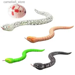 Zwierzęta elektryczne/RC RC Remote Control Snake and Egg Rattlesnake Animal Trick Przerażające zabawki z psotami dla dzieci zabawny nowość Prezent Q231113