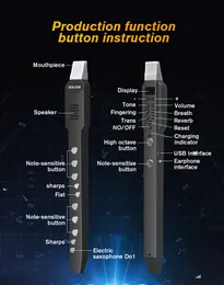 Saxofone de vento eletrônico 10 tons midi instrumento de vento eletrônico flauta clarinete imitação maçarico elétrico instrumento musical estoque de fábrica