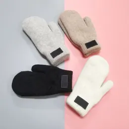 Luvas de malha quentes Luvas de grife Luvas de inverno quentes para mulheres e homens Imitação de coelho feminino veludo outono inverno lã luvas de lã ao ar livre