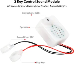 Modulo vocale registrabile da 60 secondi Dispositivo di registrazione di storie con cassa armonica di controllo a 2 tasti per regali di compleanno personalizzati con registrazione fai-da-te