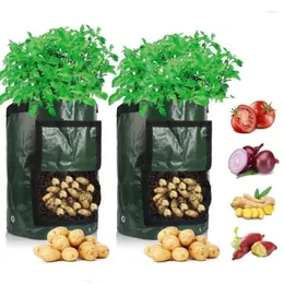 Planters Potato Planting Bag PE Cloth Vegetable And Fruit Nursery Cultivation Thickened Gardening Growing With Handle