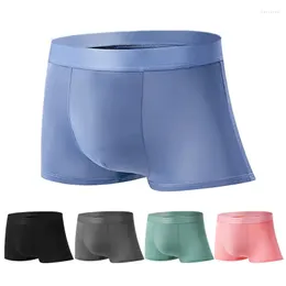Underbyxor sömlösa män Boxare Luxury Silk Underwear Boxer Spandex 3D Crotch Nylon Shorts Slips Plus Size 3XL