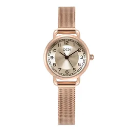 Temperamento di moda di lusso leggero da donna quadrante rotondo semplice scala digitale maglia in acciaio inossidabile con orologio al quarzo impermeabile montre de luxe regali W2