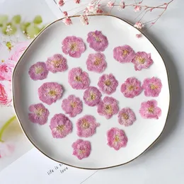 装飾的な花24pcs/2-3cm自然花びらを押した桃の花の頭の本物のdiy樹脂ドロップガムキャンドル電話ケースビューティーデカール