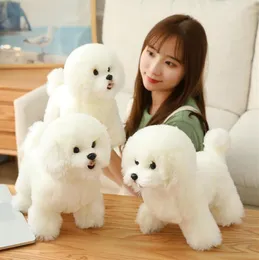 لطيف وواقعي Bichon Frize Plush Toy Small Simulation Dog Animal Plush Doll Girl Home Home Decoration Gift238O3294633