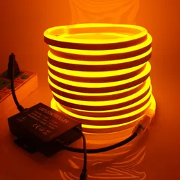 Paski LED Neon Light 220V paski Flex z ściemniaczem 2835 120LEDS/M WODY ODPOWIEDNIKA WYKORZYSTAĆ