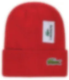 Chapéus de grife de moda Marca França Chapéu Lacos Polo Beanies Homens e Mulheres Beanie Outono / Inverno Chapéu de Malha Térmica Ski Marca Bonnet Xadrez Crânio Chapéu Luxo Quente Cap A3