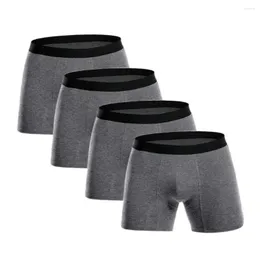 MUITAS PANTES MASCAS LONG LONG 4PCS/LOT MEN Boxers Rouphe Cotton Man Boxershorts Brasiler de Cueca Solid Solid Cueca