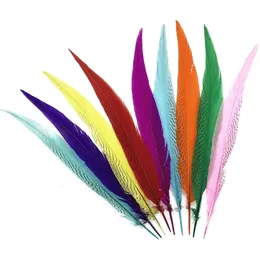 Other Event Party Supplies 50Pcs Lot Colored Silver Pheasant Tail Feather for Crafts 30 75cm 12 30" Feathers Decoration Long Plumes DIY Decor 231116