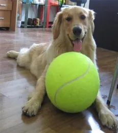 Pallina da tennis per cani da 24 cm di diametro gigante per giocattolo da masticare per animali domestici pallina da tennis gonfiabile per esterni firma Mega Jumbo giocattolo per animali domestici palla da treno c4307158166