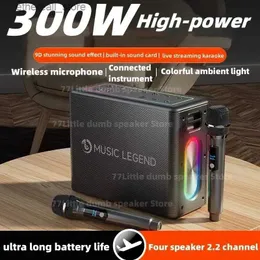 Mobiltelefonhögtalare 300W högeffekt Hög utgång utomhus trådlöst Bluetooth-högtalare Portable Karaoke Party med mikrofonljudkort på plats Recordi Q231117