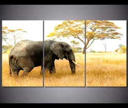 3 Panel Afrika otlak fil duvar sanatı oturma odası için ev dekor poster baskı resim cuadros dekorativos6480709