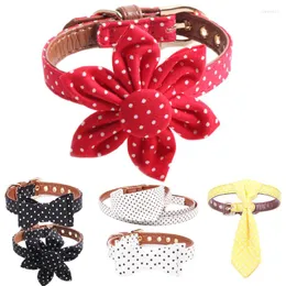 Hundehalsbänder Dot Haustierhalsband Leine Katze Fliege PU-Leder Collier Kette Perro Bandana Sunflower Red Für kleine große Hunde Teddy Chihuahua