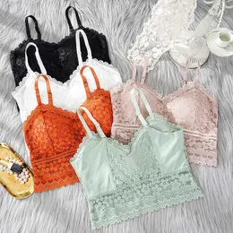 Bras Nowe kobiety koronkowe stanik Top Wygodne Bralette Solid kolor dodaj bieliznę padową Beauty Billowa seksowna kamizelka żeńska bezprzewodowa stanik p230417