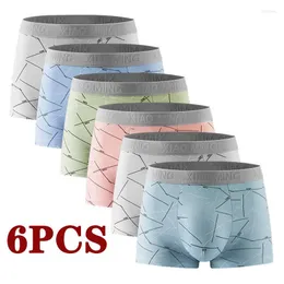 MUITOPANTES 6PCS Boxer para homens boxershorts homme subpositiva calcinha masculina conforto respirar poliéster macio