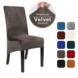 يغطى الكرسي 1/2/4/6 PCS Velvet XL Size Long Back Chair Cover SPANDEX CHAIN ​​CARCH SLIPCOVER CARRIAL SLIPSTING SPANCOVE