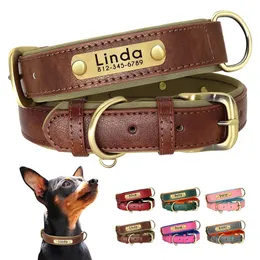 Hundehalsbänder, Leinen, individuell gestaltetes Hundehalsband aus Leder, weiches Kissen, personalisierte Haustier-ID-Halskette ohne geschnitzte Namensklaue 231117