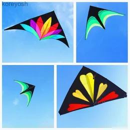 Acessórios para pipa frete grátis kites profissionais voando delta kite adultos kites tecido de fábrica para kite delta wing drag kite praia vento parrotL231118