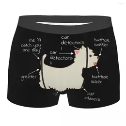 Cuecas cool Westie Dog Anatomy Boxers Shorts Men Stretch Highland Highland White Terrier Briefas Resia
