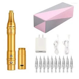 Tattoo Machine Gold Color Permanent Makeup Kit Rotary Pen Liner & Shader Microblading Eyebrow Eyeliner Lip With Cartridge Needle