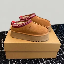 Tasman tofflor australien designer stövlar kvinnor män tazz senap fröplatta-forme ultra mini boot kastanj päls glider fårskinn vinter utomhusbrun slip-on skor